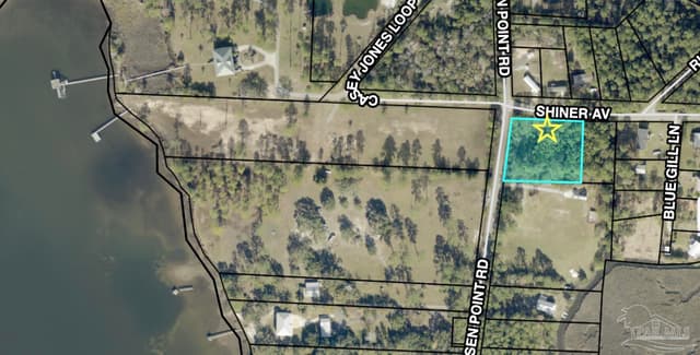 01 Petersen Pt Rd, Milton FL 32583 photo 16