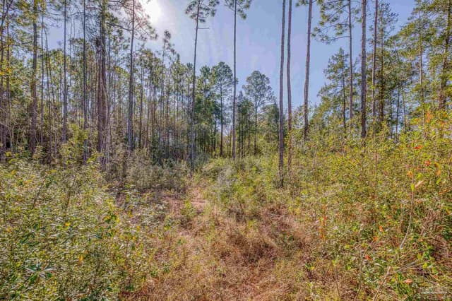 00 Petersen Pt Rd property photo
