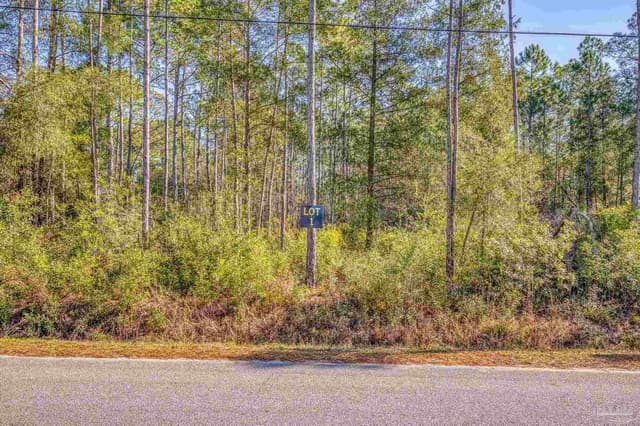 00 Petersen Pt Rd, Milton FL 32583 photo 5