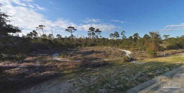 1551 Winding Shore Dr property photo