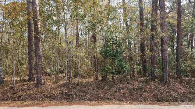 Pearson Rd property photo