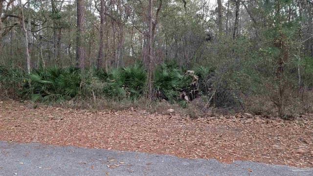 5549 Bay Edge Ln, Milton FL 32583 photo 2