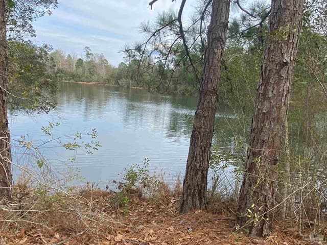 0000 Hwy 4, Jay FL 32565 photo 6