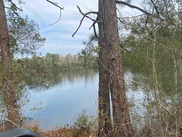 0000 Hwy 4, Jay FL 32565 photo 7
