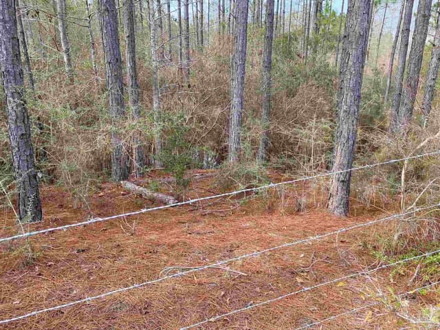 0000 Hwy 4, Jay FL 32565 photo 23
