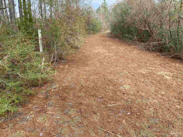 0000 Hwy 4, Jay FL 32565 photo 29