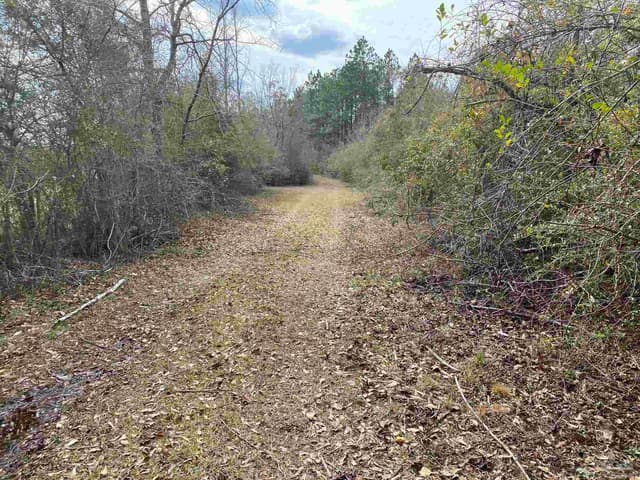 0000 Hwy 4, Jay FL 32565 photo 10