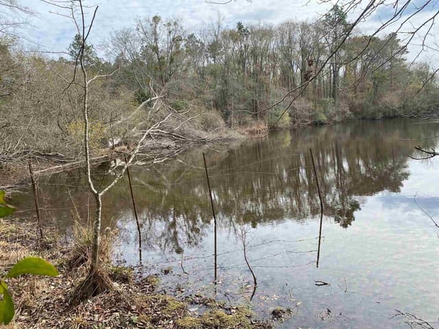 0000 Hwy 4, Jay FL 32565 photo 28