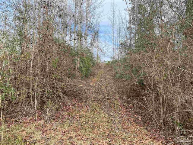 0000 Hwy 4, Jay FL 32565 photo 35