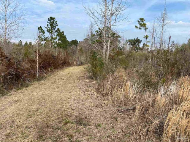 0000 Hwy 4, Jay FL 32565 photo 39