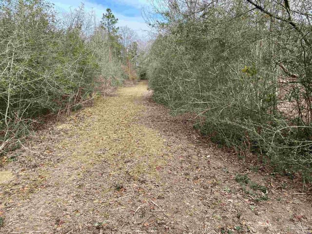 0000 Hwy 4, Jay FL 32565 photo 30