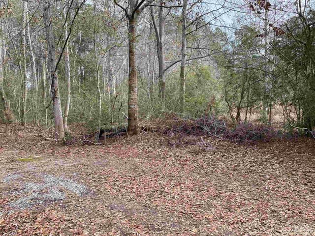 0000 Hwy 4, Jay FL 32565 photo 34