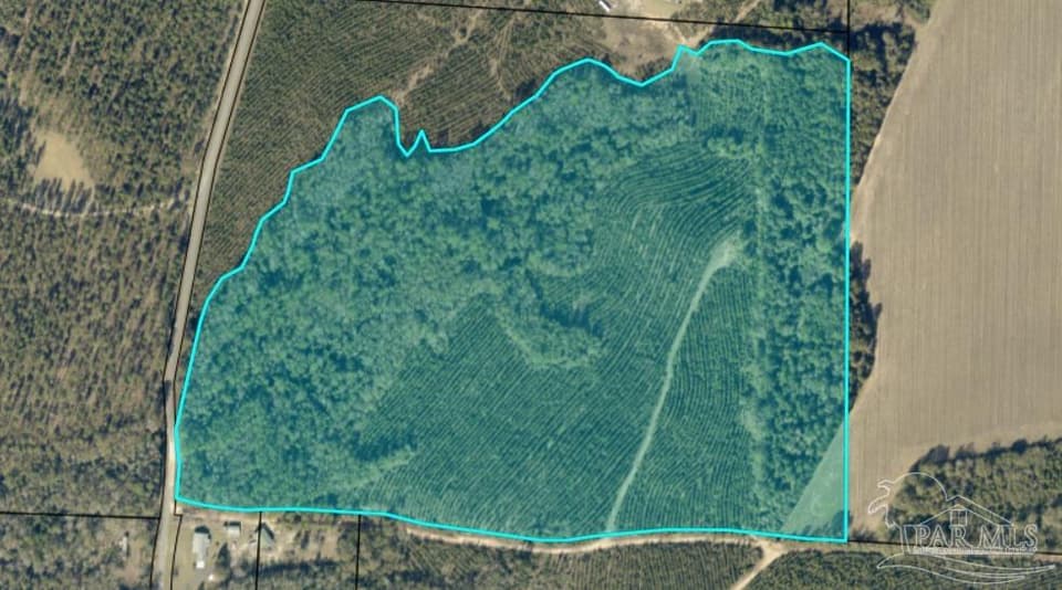 0000 Watson Rd, Allentown FL 32570 photo 1