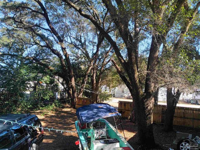 833 Wayne Ave property photo