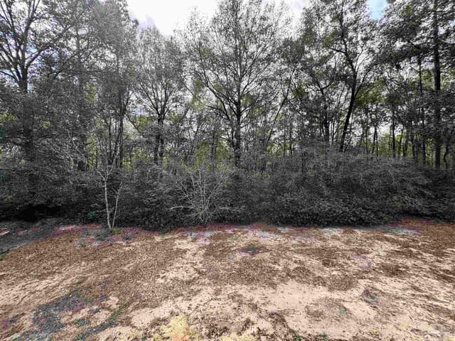 6512 Winston Brown Rd, Milton FL 32570 photo 28