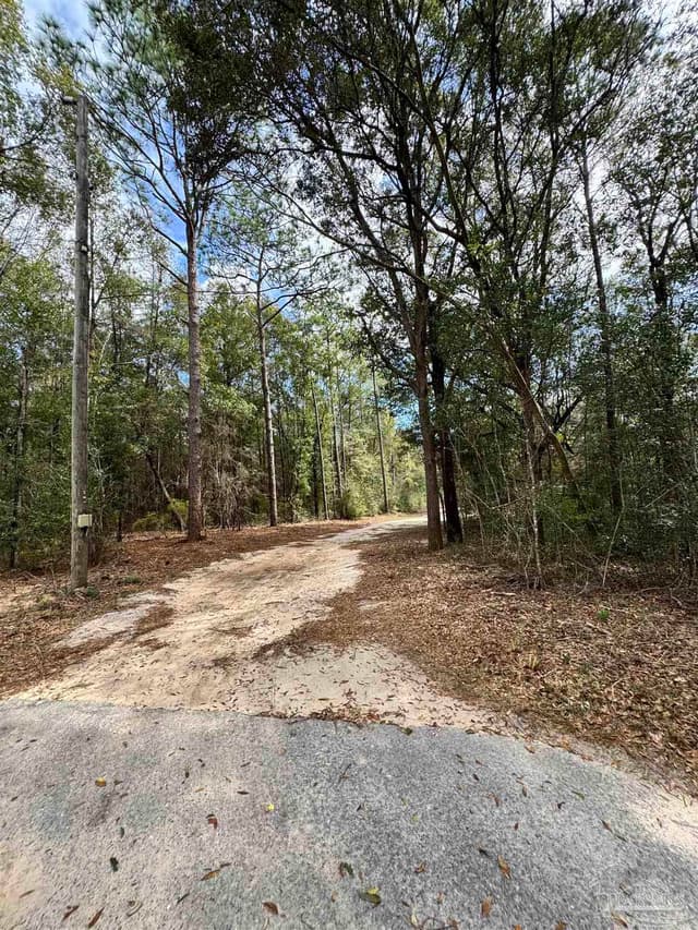 6512 Winston Brown Rd, Milton FL 32570 photo 34