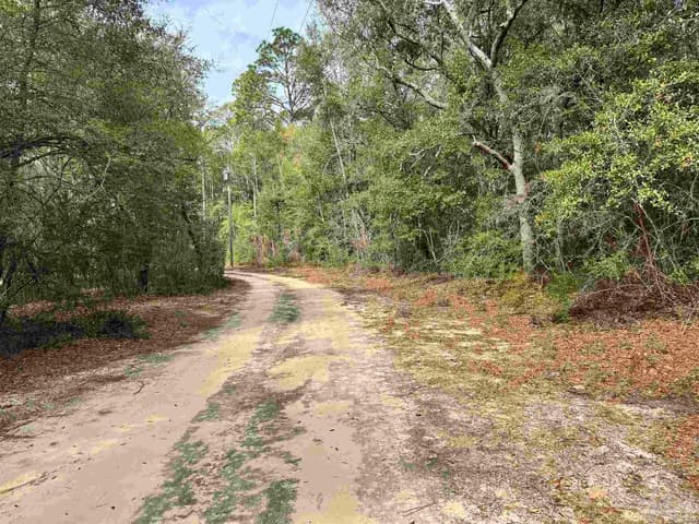 6512 Winston Brown Rd, Milton FL 32570 photo 33