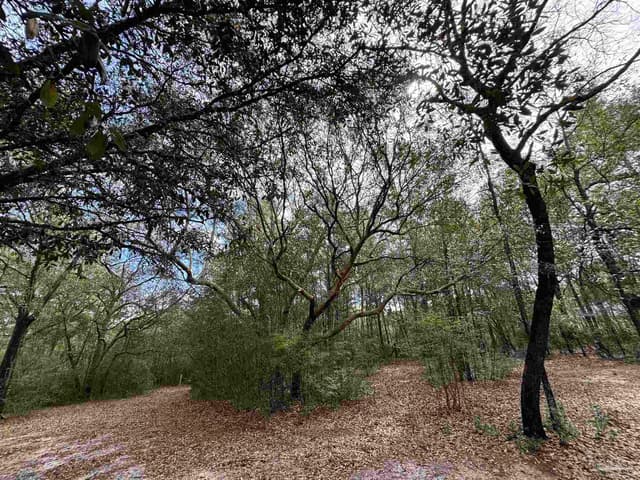 6512 Winston Brown Rd, Milton FL 32570 photo 31