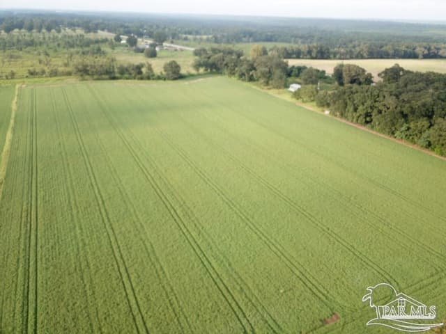 4+ acres Hwy 87, Milton FL 32570 exterior