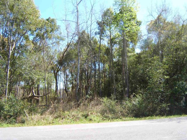 0 Cross St, Bagdad FL 32583 photo 2