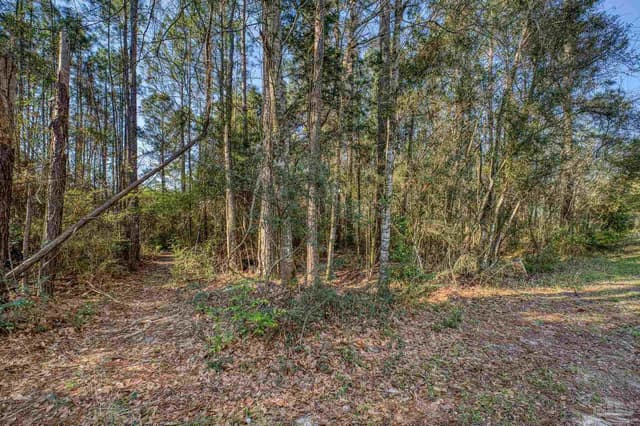 0 Guernsey Rd, Pace FL 32571 photo 7