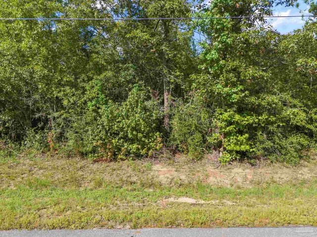 Parcel 14 Sid Hayes Rd, Jay FL 32565 exterior