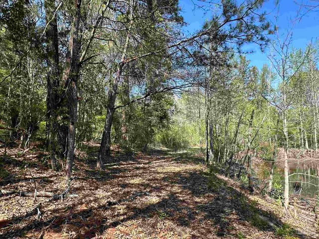 115 Cedar Ave, Frisco City AL 36445 photo 38