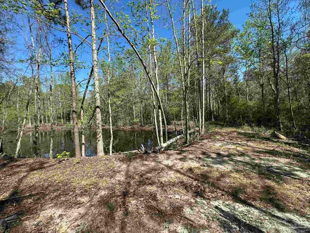 115 Cedar Ave, Frisco City AL 36445 photo 37