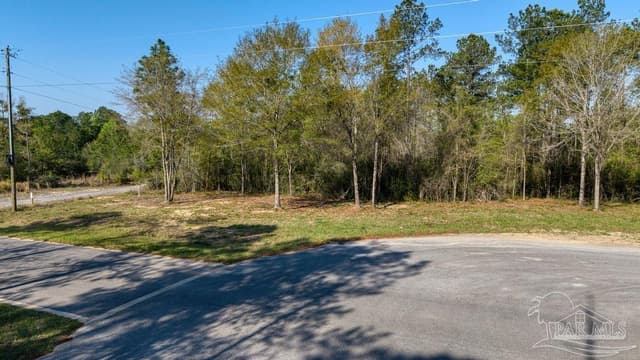 Lot 42 Buffalo Ridge Rd, Pace FL 32571 photo 13