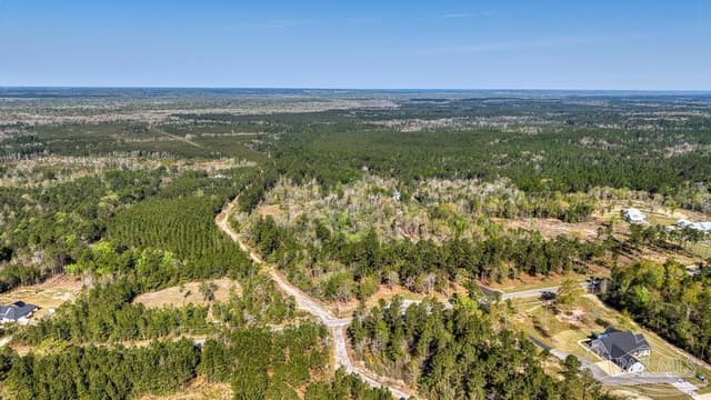 Lot 42 Buffalo Ridge Rd, Pace FL 32571 photo 7