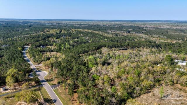 Lot 42 Buffalo Ridge Rd, Pace FL 32571 photo 9