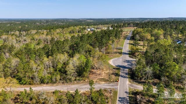 Lot 42 Buffalo Ridge Rd, Pace FL 32571 photo 15