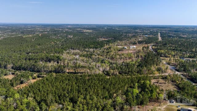 Lot 42 Buffalo Ridge Rd, Pace FL 32571 photo 19