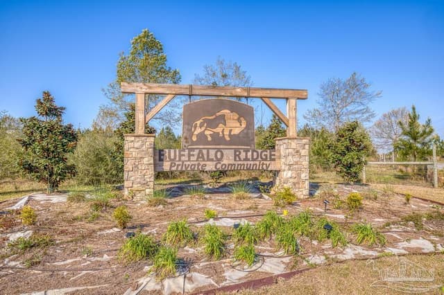 Lot 42 Buffalo Ridge Rd property photo