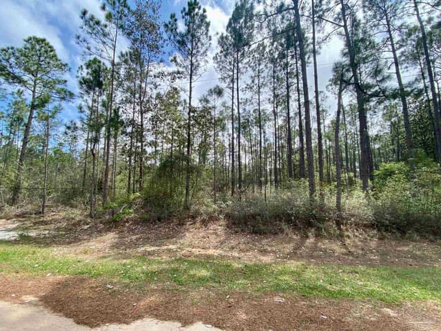 000 Allegro St, Milton FL 32583 exterior