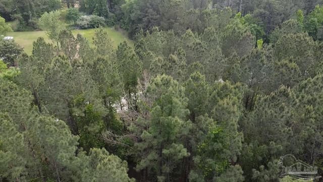 11100 Block Hwy 59, Uriah AL 36480 photo 13