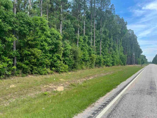 11100 Block Hwy 59, Uriah AL 36480 photo 17
