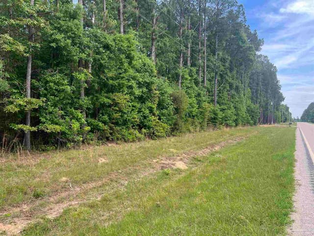 11100 Block Hwy 59, Uriah AL 36480 photo 14