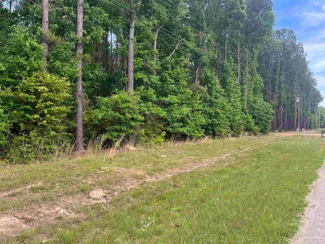11100 Block Hwy 59, Uriah AL 36480 photo 18