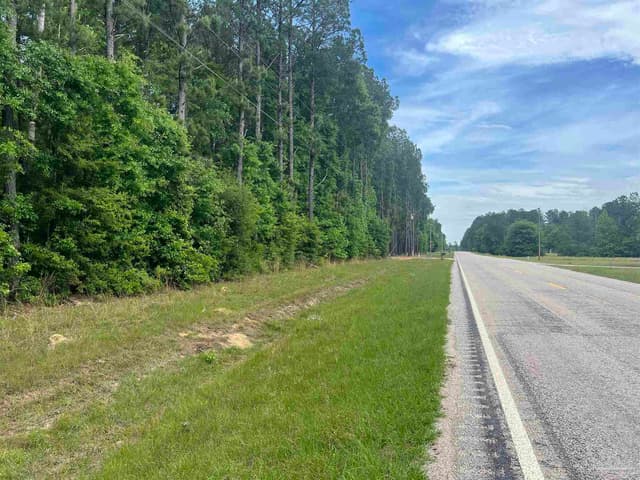 11100 Block Hwy 59, Uriah AL 36480 photo 15