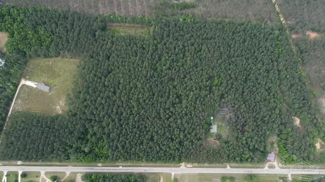 11100 Block Hwy 59, Uriah AL 36480 photo 19