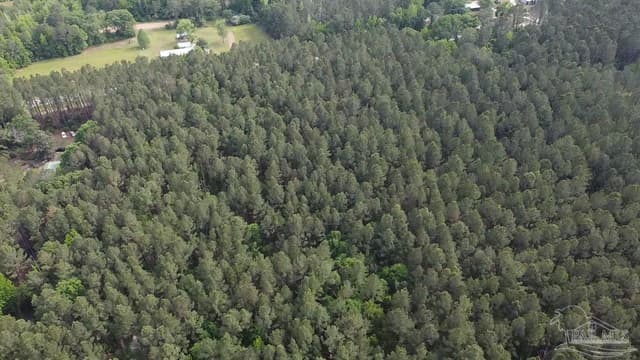 11100 Block Hwy 59, Uriah AL 36480 photo 8