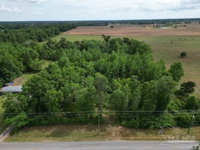 Parcel B 2000 Molino Rd, Molino FL 32577 photo 2