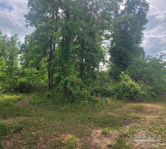Parcel B 2000 Molino Rd, Molino FL 32577 photo 6