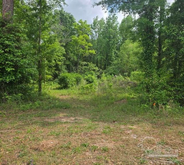 Parcel B 2000 Molino Rd, Molino FL 32577 photo 17