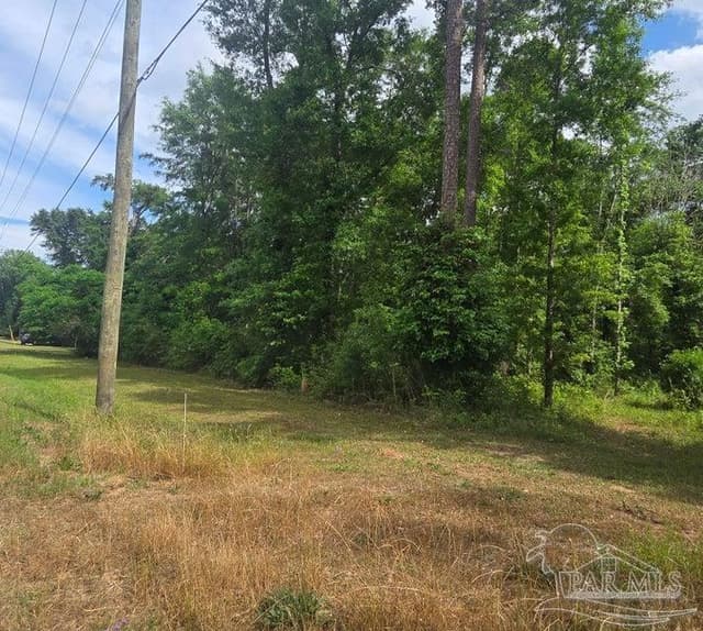 Parcel B 2000 Molino Rd, Molino FL 32577 photo 12
