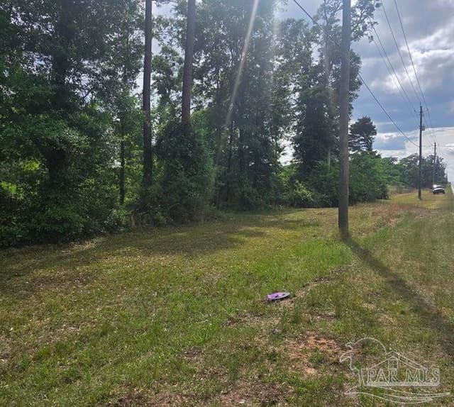 Parcel B 2000 Molino Rd, Molino FL 32577 photo 7