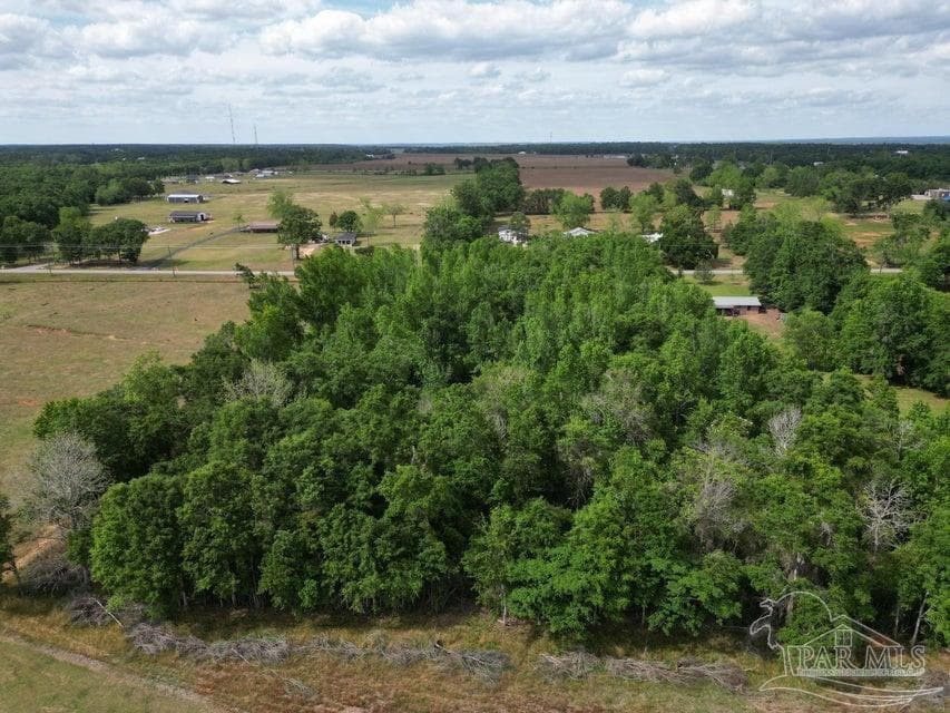 Parcel B 2000 Molino Rd, Molino FL 32577 photo 1
