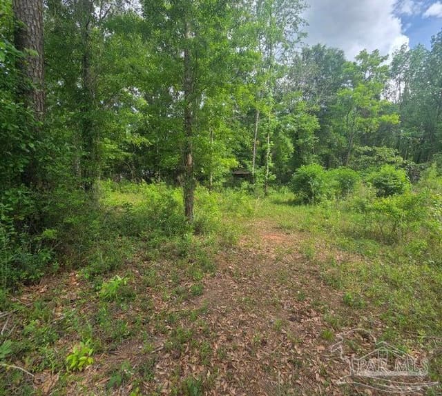 Parcel B 2000 Molino Rd, Molino FL 32577 photo 20
