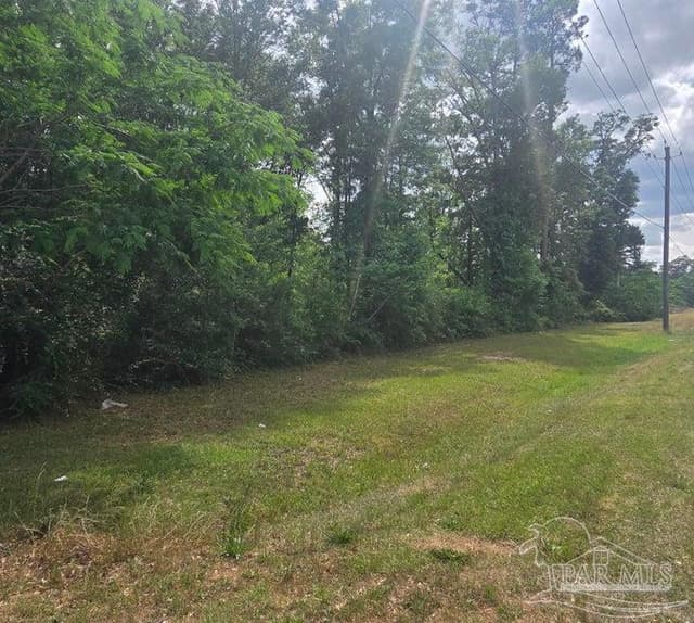 Parcel B 2000 Molino Rd, Molino FL 32577 photo 10